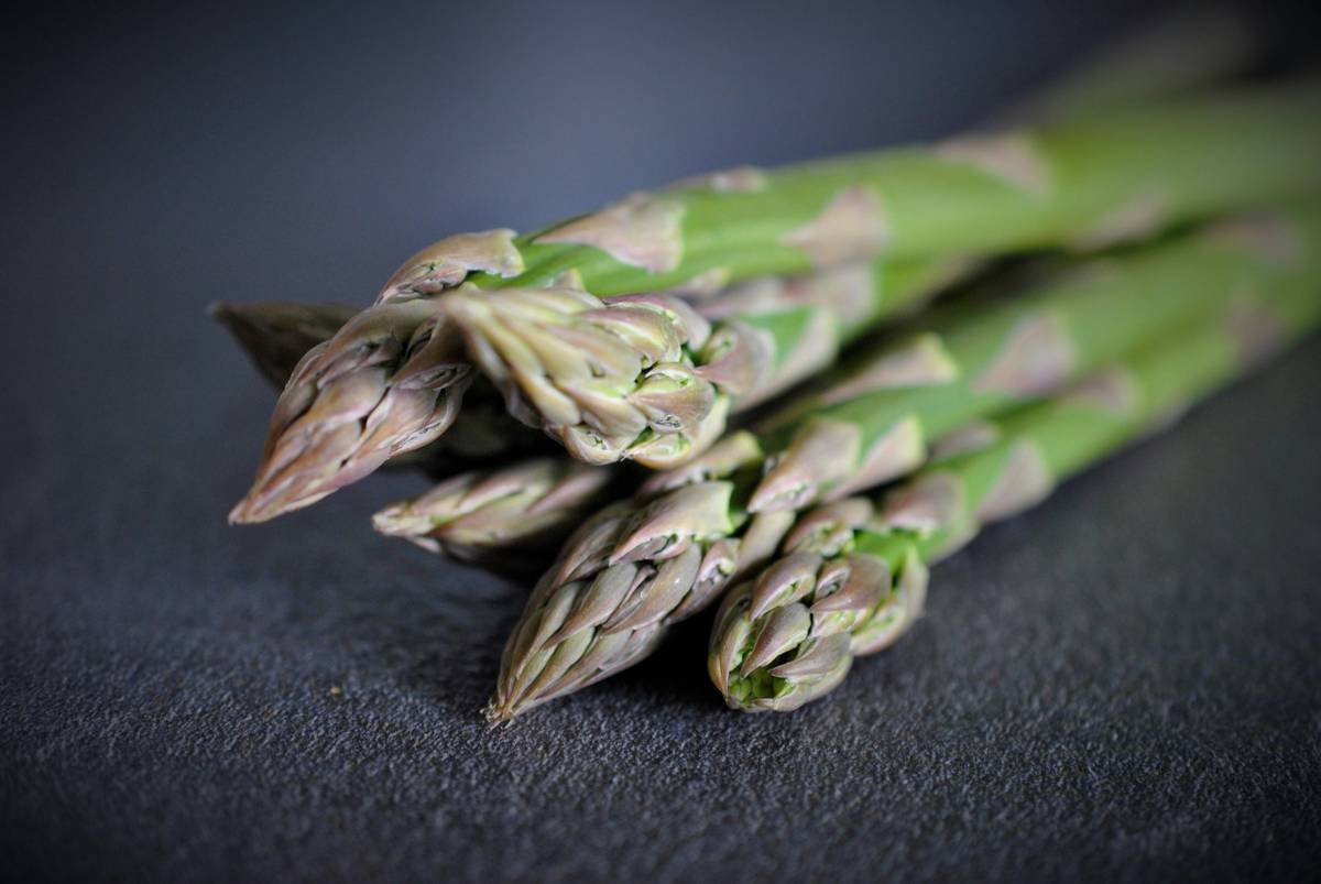 Smiling customers enjoying wholesome meal plates from BistroMD