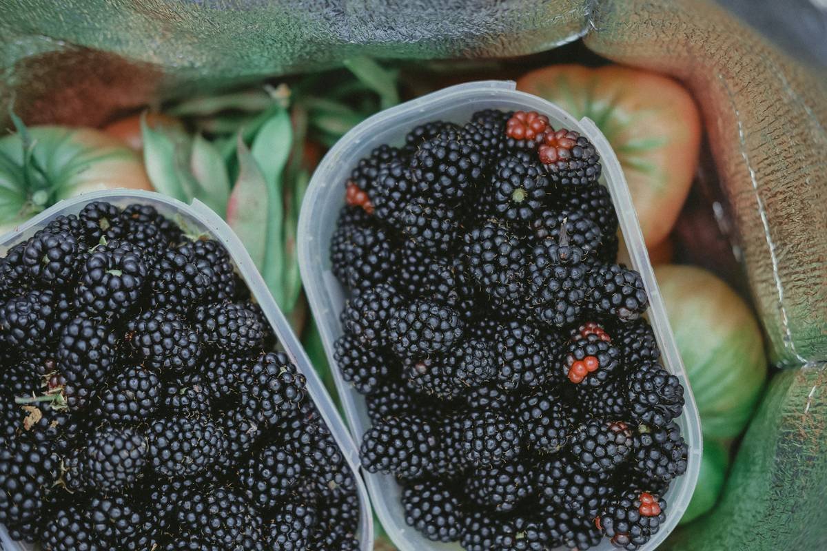 Colorful balanced meals prepared by a doctor meal prep service