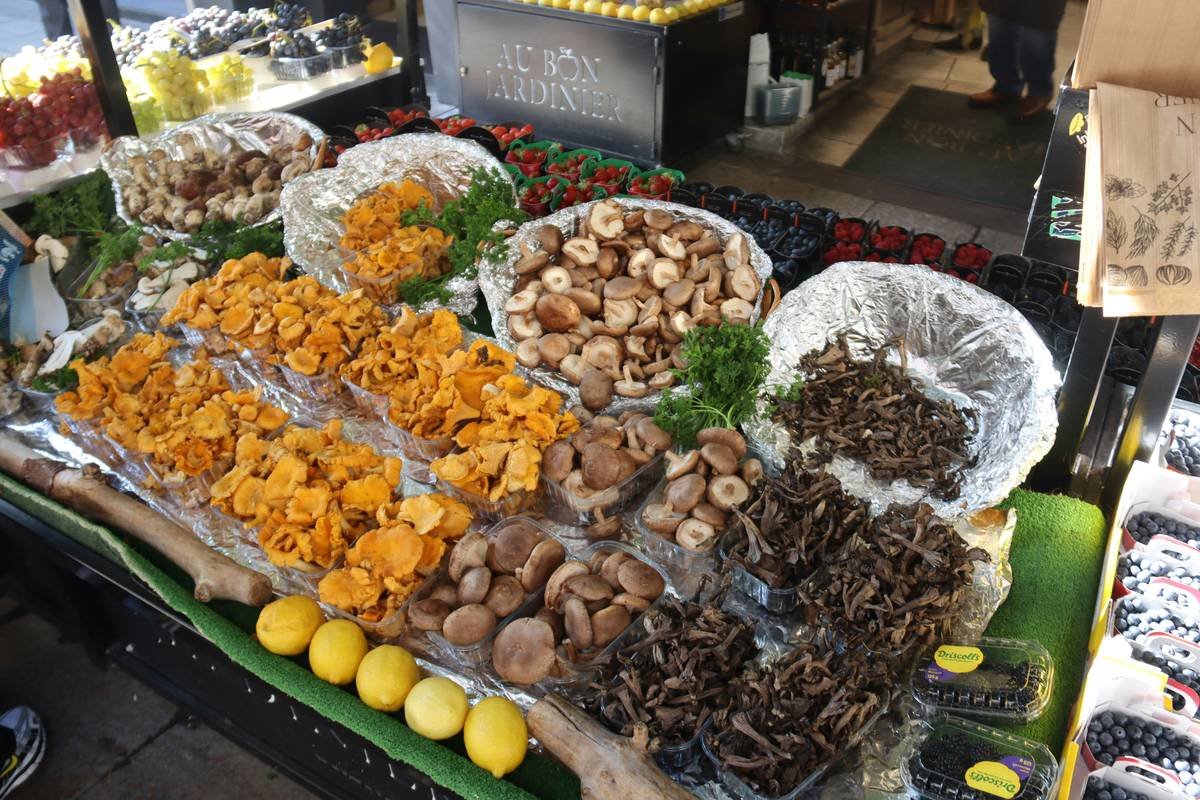 Screenshot of user review praising BistroMD results