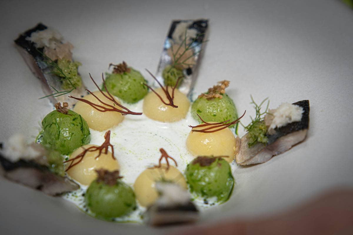 The Ultimate Guide to a Nutritious Plate Meal Service: Is BistroMD Right for You?