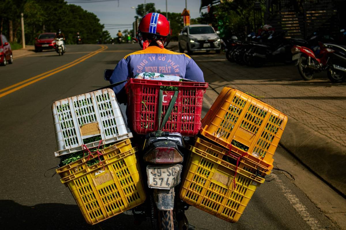 Variety of chef-prepared meals delivered by BistroMD