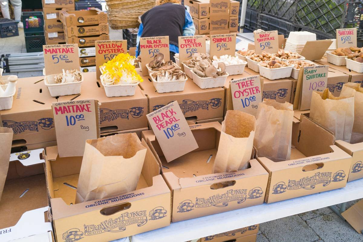 A person staring blankly into an empty refrigerator late at night.