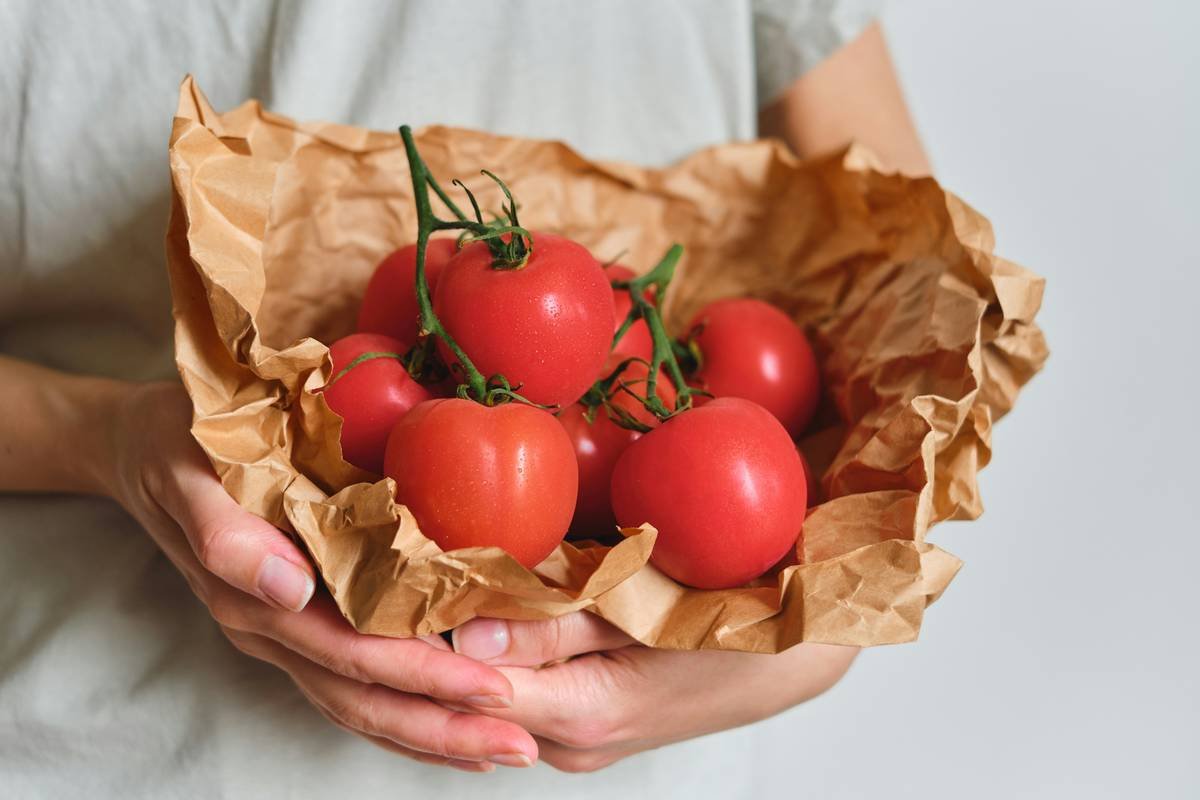 Why “Meals Designed by Medical Experts” Could Be Your Secret Weapon for Real Health Transformation