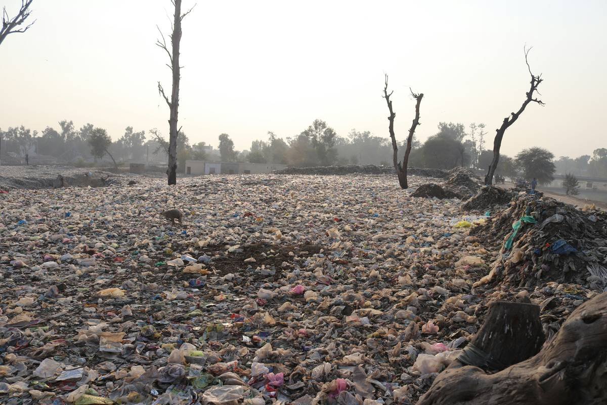 A huge garbage dumping point near the canal near Sahiwal Jhal Road. This has started spreading pollution in the area from the garbage point. Envelopes that do not rot for five hundred years are causing a lot of pollution. We are working to remove envelopes and pollution from the environment.