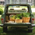 How Meal Delivery Works: Your No-BS Guide to Getting Healthy, Fresh Food Without the Grocery Run