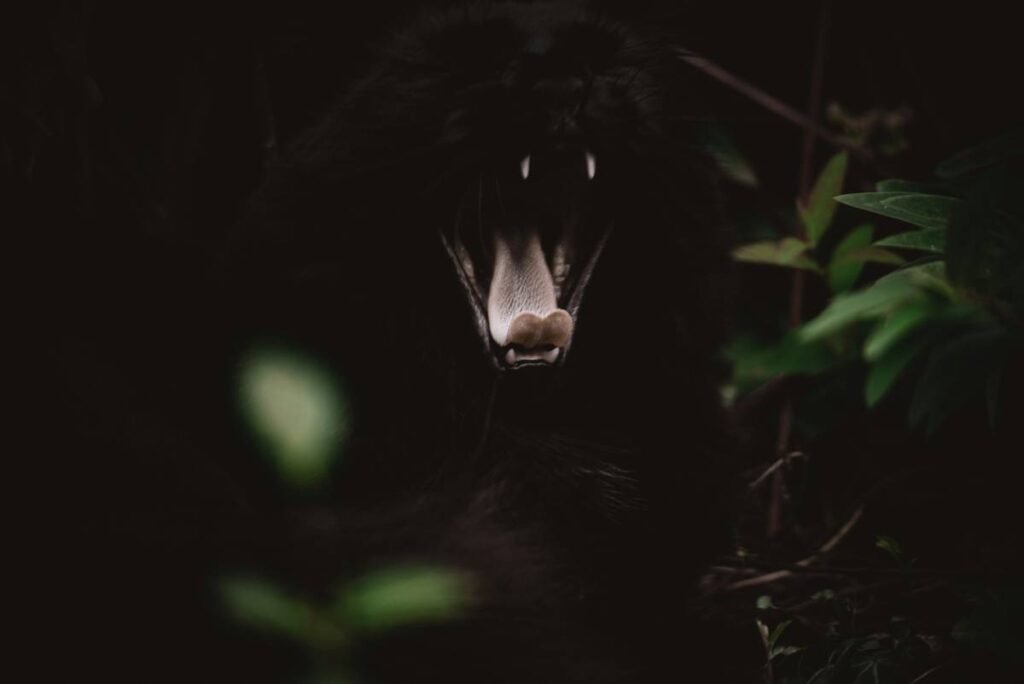 a black animal with its mouth open in the dark