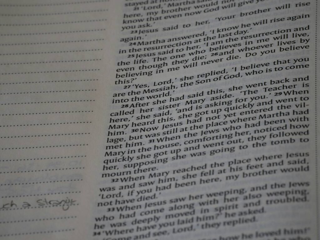 close up, bokeh, bible, new testament, christian, history, text, reading, bible study, devotions, christianity, scripture, Gospel of John, John, Gospel,