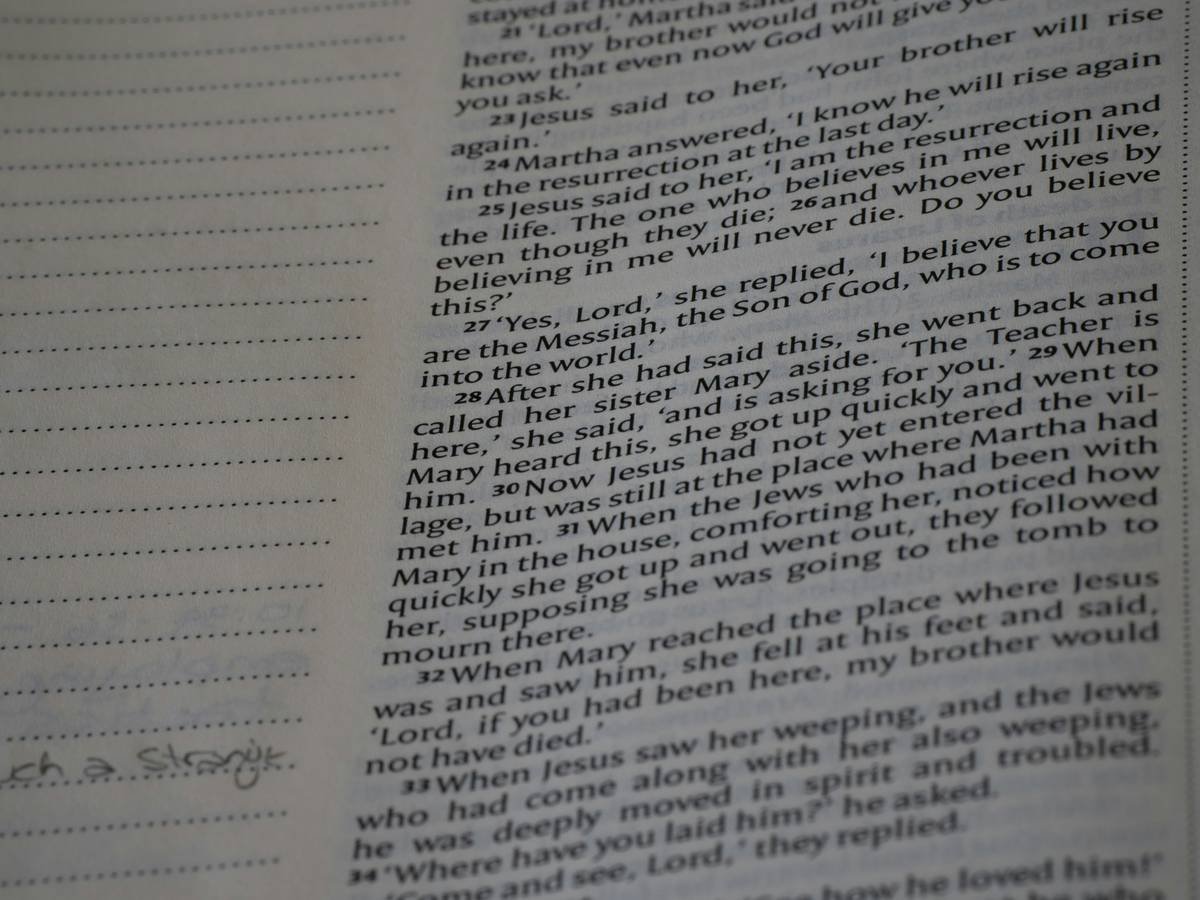 close up, bokeh, bible, new testament, christian, history, text, reading, bible study, devotions, christianity, scripture, Gospel of John, John, Gospel,